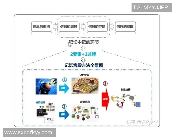 足球明星齐贤的职业生涯与个人成就全景解析