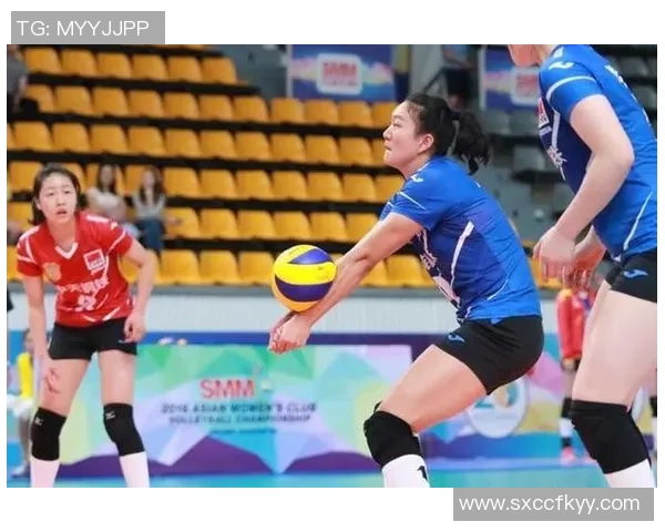 杭州排球队灵活性分析与表现评估的深度研究与探讨