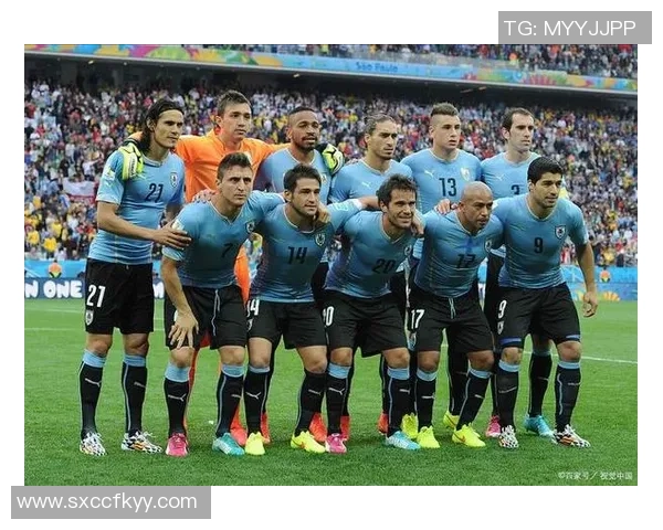 临澧县足球明星阵容正式揭晓各路球员齐聚展现风采